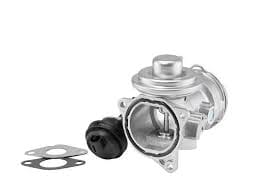 BORG WARNER EGR VALFİ