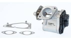 BORG WARNER EGR VALFİ