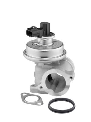 BORG WARNER EGR VALFİ