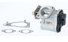 BORG WARNER EGR VALFİ